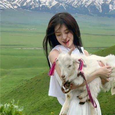 鲜花盛开的村庄